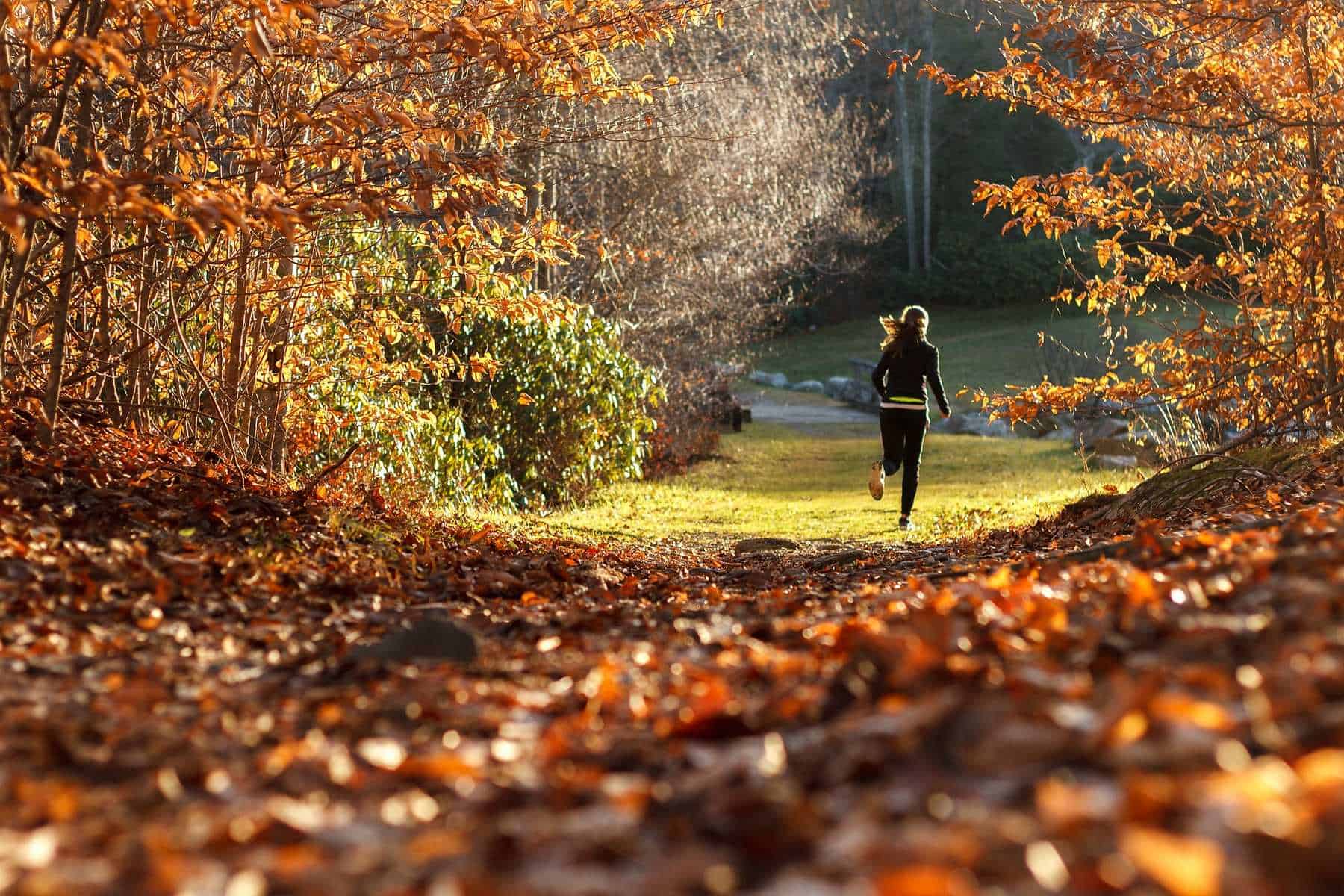 Fit und gesund mit Sport